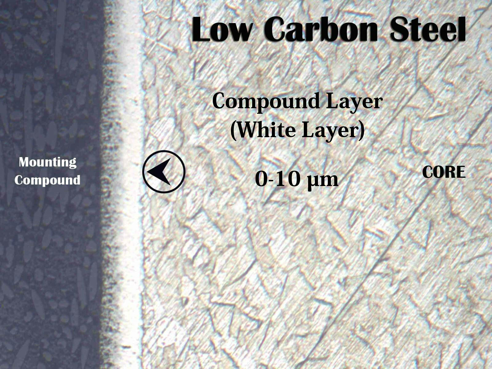 low carbon steel new